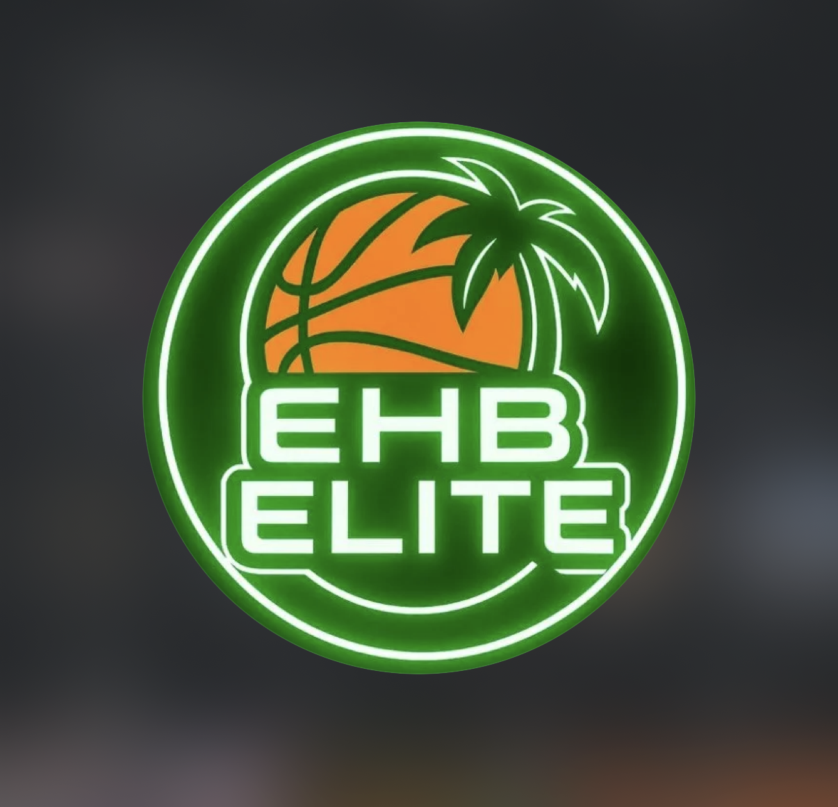 EHB HOOPS logo